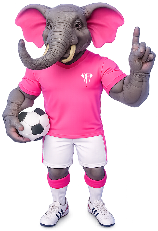 Mascotte éléphant footballeur